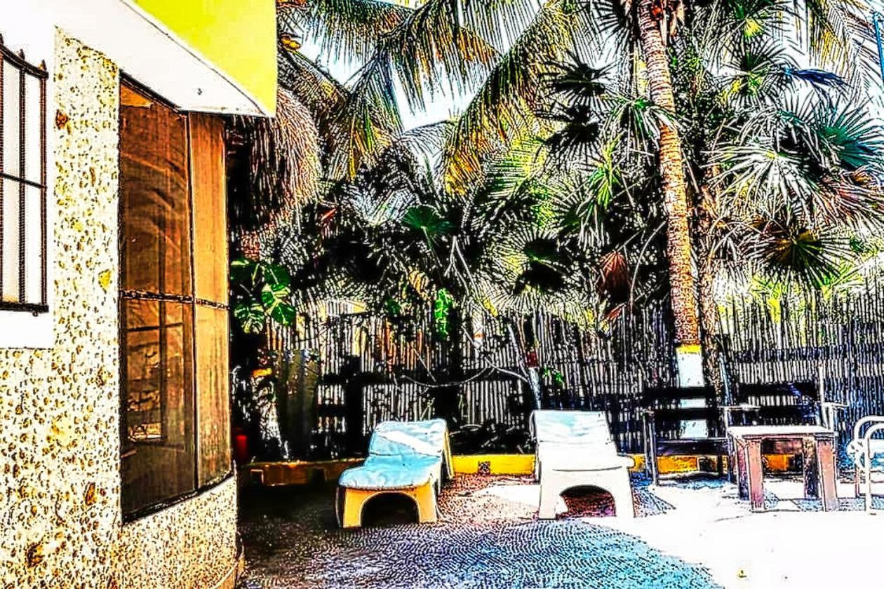 Antigua Lodge, 70 M From Sandy Beach إل كويو المظهر الخارجي الصورة