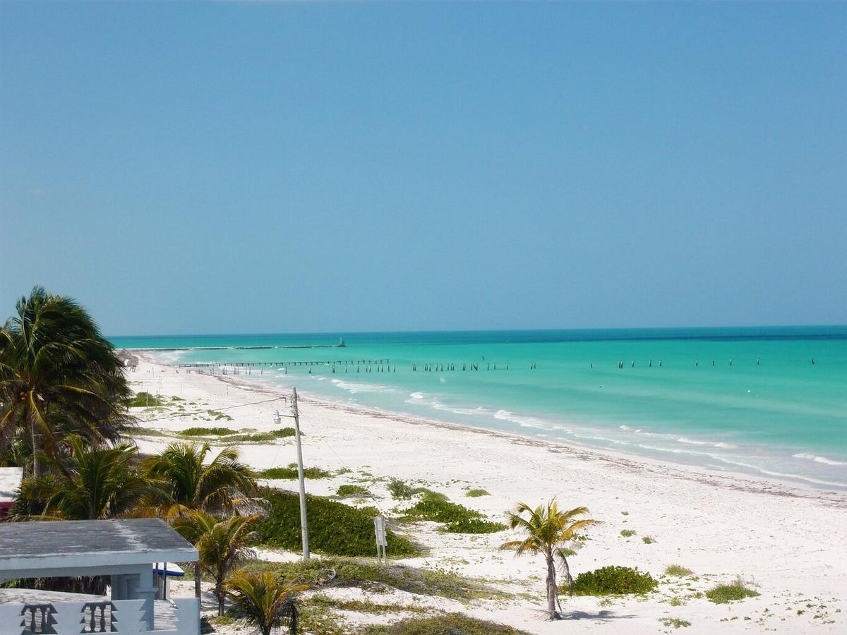 Antigua Lodge, 70 M From Sandy Beach إل كويو المظهر الخارجي الصورة