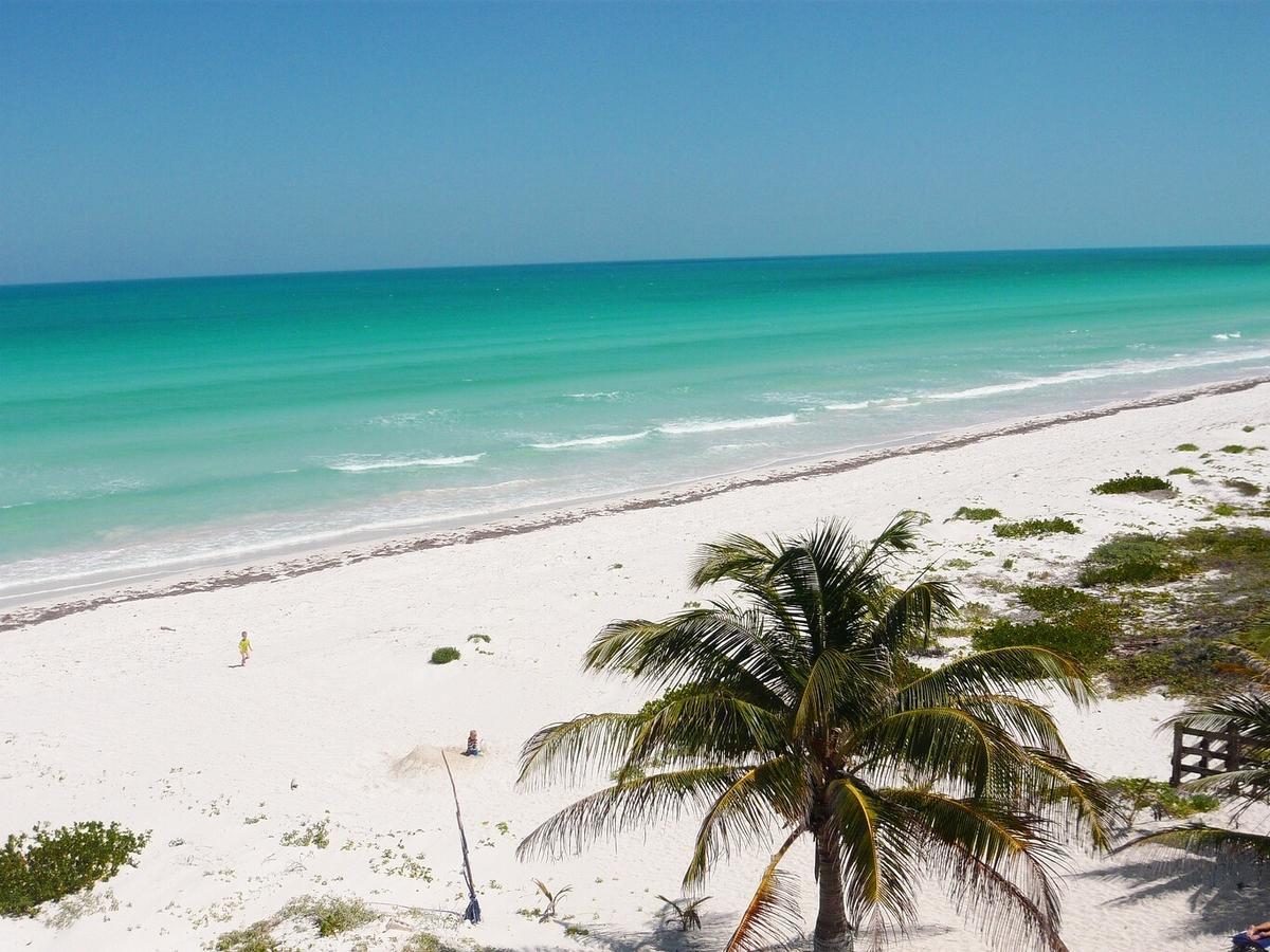 Antigua Lodge, 70 M From Sandy Beach إل كويو المظهر الخارجي الصورة