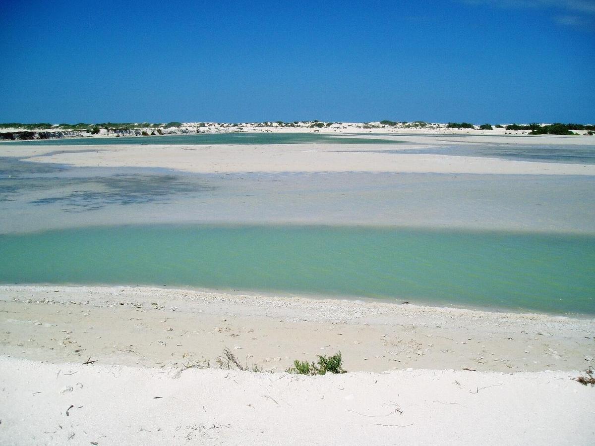 Antigua Lodge, 70 M From Sandy Beach إل كويو المظهر الخارجي الصورة