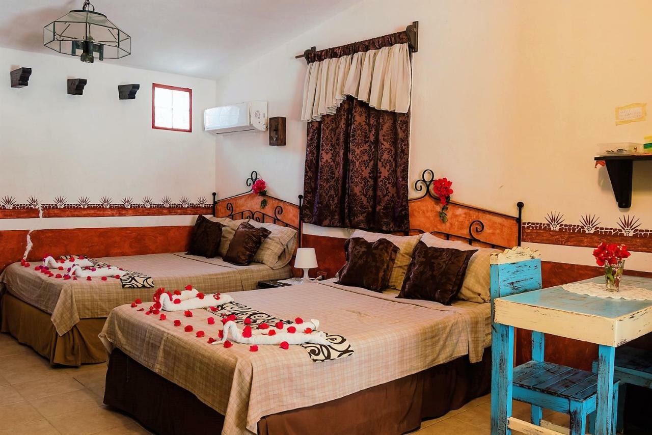 Antigua Lodge, 70 M From Sandy Beach إل كويو المظهر الخارجي الصورة